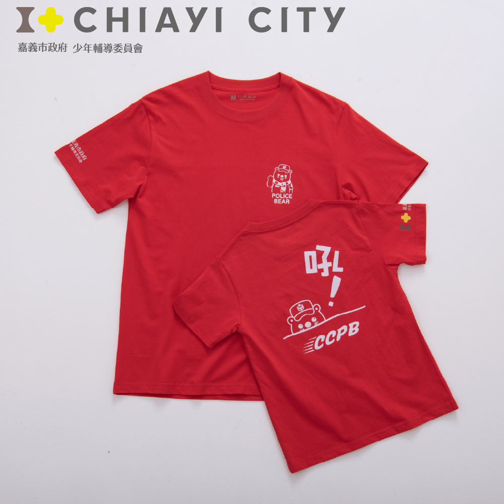 嘉義市政府少年輔導委員會案例圖片